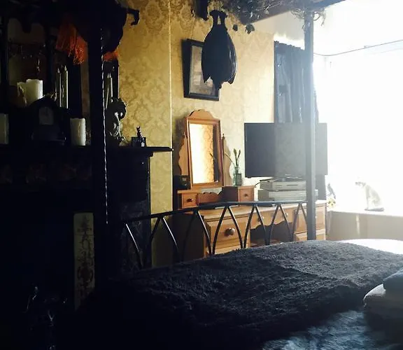 蝙蝠和扫帚宾馆