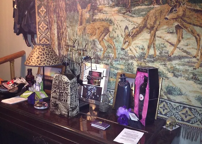 蝙蝠和扫帚宾馆 4*