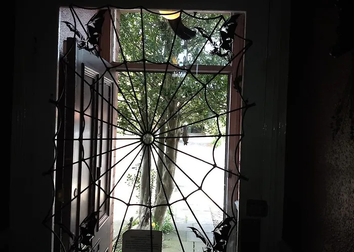 Bats And Broomsticks